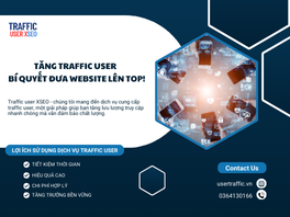 TĂNG TRAFFIC USER – BÍ QUYẾT ĐƯA WEBSITE LÊN TOP